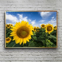 화색갤러리 풍수 인테리어 10 해바라기 그림 액자 프리미엄 캔버스천으로 인화, 블랙무광