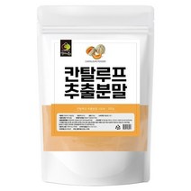 칸탈루프 분말 500g 멜론 비타민 아미노산 식이섬유, 1개, 단품