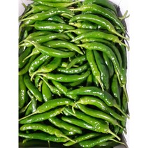 매콤 달콤 청양고추 500g, 1kg