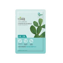 다자연 365 그린 선인장 마스크팩 10매 고보습 비건, 10개