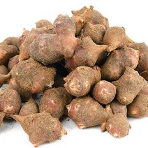 뜰안애 국산 자색 생 돼지감자 5kg, 1박스