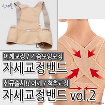 [월드온] 자세교정 밴드 척추 어깨 볼륨 바스트 업 뽕, 베이지_XXL(95-100)