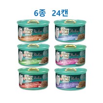 팬시피스트 엘레강트메들리캔 1box(24p)-선택, 5-6종콤보