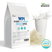 분리 유청 단백질분말 500g 2팩 헬스보충제 대용량 총1kg WPI 락토프리 해썹인증, 분리 유청 단백질분말 500g 1팩