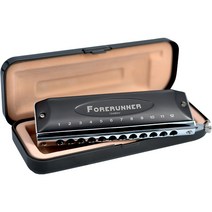 크로매틱하모니카 크로마틱 12홀 하프 스케일 초보자 입문 연습 필름리스, 12홀 C 톤 및 구성품