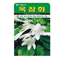 SN월드 야생화 씨앗 꽃씨앗 모음, 야생화 - 옥잠화(20립)