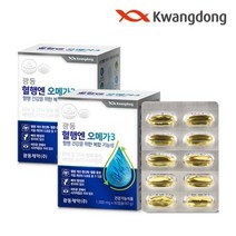 광동생활건강 광동 혈행엔 오메가3 2박스 4개월분 눈건강 항산화, 단품/단품