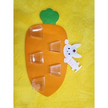 당근 투약함 diy