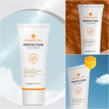 프로텍션 톤업 미백 밀착 선크림 SPF 50+/PA++++ 백탁없는 선크림 썬크림수분 기능성 순한