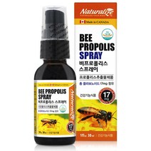 NHinc 비프로폴리스 스프레이 플라보노이드 로얄제리 벌꿀 구강건강 목 호흡기 향균작용 항산화 프로폴리스원액 면역력에좋은영양제 휴대간편 캐나다직수입, 1개, 30mlx1병