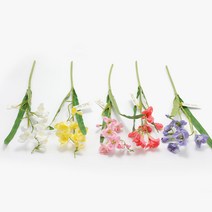 후리지아 프리지아 조화 도매, 라일락