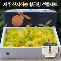 [품질보증제] 고당도 제주 산지직송 황금향 15브릭스 이상 당도보장 못난이 중과 가정용 선물세트 제주도귤, 06. 황금향 선물세트 5kg 중과 (16/24과)