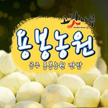 용봉농원 공주알밤 제사용깐밤 특 1Kg, 2개, 500g