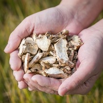 국산 삽주뿌리(백출) 200g 토종 차 건조 건 말린 마른 한방 삽주 뿌리햇부분, 12TR_국)삽주뿌리200g