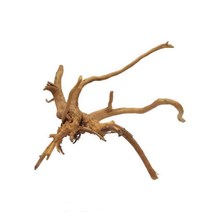 가지유목 20cm 내외 (소) (랜덤) . 수족관 어항 장식, 1개