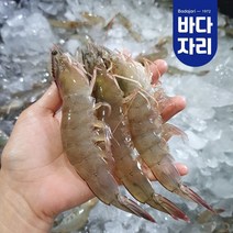 23년 출하 신안 생새우 활새우 1kg 37-45미 내외, 1개