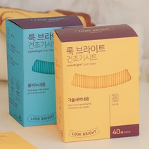 룩브라이트 건조기시트지 드라이 종이 섬유유연제 정전기방지 40매 1+1, 봄비누내음 2개, 2개