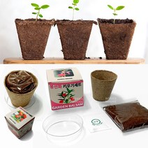 새싹 키우기 지피포트 4가지 식물 키우기세트 diy 강낭콩 봉선화 방울토마토 상추 친환경 화분, 지피포트_강낭콩 키우기