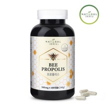 [내추럴이믹스] 비 프로폴리스 아연 캐나다 8개월분 500mg x 480캡슐, 1개