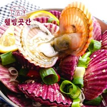 웰빙곳간 산지직송 통영 살균 세척 활 홍가리비 3kg