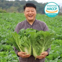 [입점특가] HACCP 해남 특급 절임배추, 10kg, 월요일 출고 화요일 도착