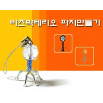비즈박테리오 파지만들기(10인용)