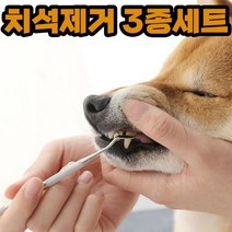 강아지 치석제거 입냄새 이빨 스케일링 제거기 고양이 강아지 치석제거 입냄새 이빨 스케일링 joo☆na, ※­선택:상품선택▣