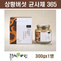 국내산 상황버섯 가루 분말 목질진흙버섯 균사체 베타글루칸 린테우스 추출물 원액 액기스 뽕나무 찔레 참나무 상황버섯차 약용버섯 효능, 1병, 300g