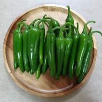 산들팜 모닝고추, 1박스, 특품10kg