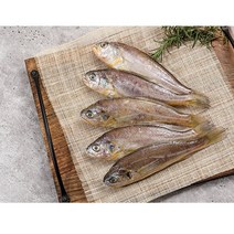 특급 제주 참조기 5마리 선물세트, 단품, 단품