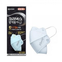 크리넥스 황사방역마스크 베이직 KF94 대형1개 유한킴벌리, 상세페이지 참조, 상세페이지 참조