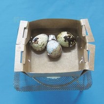 종이냄비 5인/과학 실험 키트 교구 도구 만들기