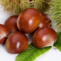 충주밤 (대) 1.5kg/ 100% 맛 보장 (이장님네 농산물), 1박스, 2kg
