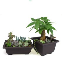 사각 분재 화분 분재분 플라스틱 화분 분갈이, F12x12, 12개