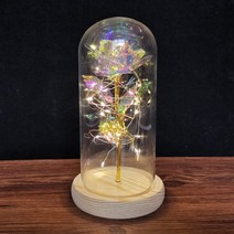 장미꽃무드등 여자친구선물 LED조명 미녀와야수무드등, 블루