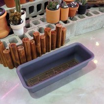 칼라 플라스틱 쌈채소 텃밭화분 60x17cm 플랜트 그린, 화이트