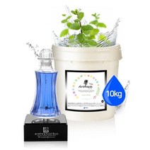 기타 [아로화]대용량입욕제족욕반신욕민트10kg, 민트