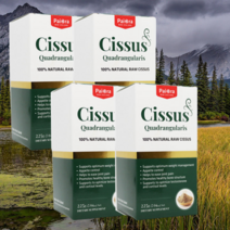 뉴질랜드 파이오라 시서스 씨서스 시저스 cissus 추출물 가루 분말 225g 4개