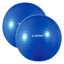 스타 임산부 짐볼 65CM 요가 필라테스 스트레칭 공 짐볼운동법 임산부짐볼 짐볼운동