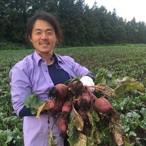제주도 무농약 햇 레드비트 5kg, 제주 무농약 햇비트 5kg (상/13개 전후)