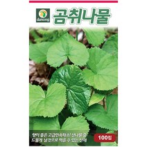 다농 익모초 1g - 씨 씨앗 익모초씨앗 익모초씨 산야초 육모초 나물씨앗 민속채소 채소씨 채소씨앗, 16_다농_곰취나물(100립)