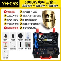 업소용 고압 스템 세척기 분사 휴대용 풀세트 후드 청소 고온, A) 고압스팀기 3000W+옵션
