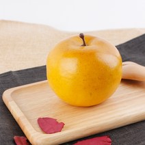 모조과일/과일모형 배