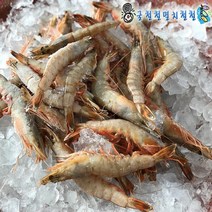 꽃게 신진도 활꽃게 2~3인분 당일조업 아침발송, 1개, 1kg 35미전후