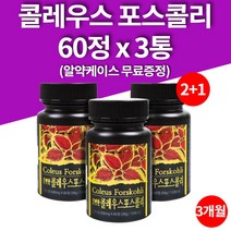콜레우스 포스콜리 포스콜린 추출물 정 환 타블렛 알약 모양 60정 3병 3개월 대용량, 3개