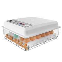 NEW 병아리 부화기 병아리 부화 병아리 키우기 달걀 꿩 메추리 계란 비둘기, 6 단일 전기 자동