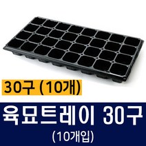 [비료컴퍼니] 육묘트레이 32구 - 상토 마사토 화분 사각화분 모종흙 모판 모종판 육묘용트레이 포트