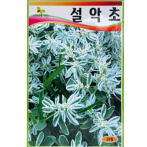 식물의집 설악초 꽃씨앗 씨, 1개