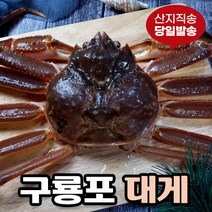 [당일발송] 영덕대게 생물 자숙 포항 구룡포 국내산, 3.특가 영덕대게 대 (10~11cm) 3미