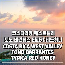 (커피생두) 182 코스타리카 웨스트밸리 토노 바란테스 티피카 레드허니 1kg, 1개